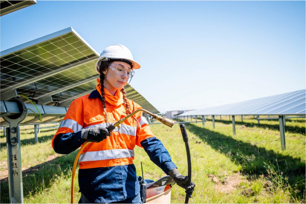Solar Farm Jobs Haynes